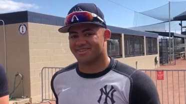 Jasson Domínguez - MLB Center field - News, Stats, Bio and more