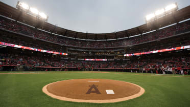 Angel Stadium Policies and Procedures