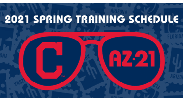 2021 Spring Training Schedule
