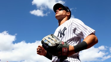 Aaron Judge New York Yankees Unsigned Hitting Photograph