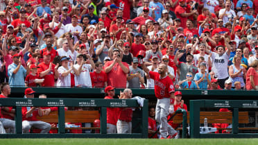 Cardinals fans salute Albert Pujols throughout Angels' loss in St
