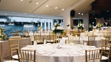 Wedding Receptions & Rehearsal Dinners 