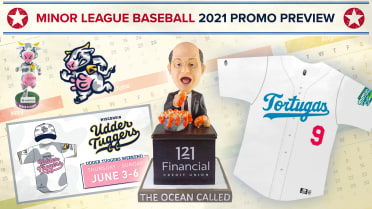 Minor League Promos on X: Let's get real: Who has the best uniforms in Minor  League Baseball that's not your favorite team? Be sure to tag them   / X