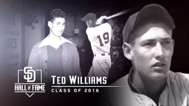 Why Baseball Revived A 60-Year-Old Strategy Designed To Stop Ted Williams