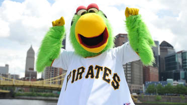 Pirate Parrot - Pittsburgh Pirates - Mascots (MLB Baseball Card