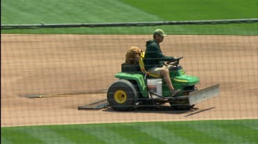 Dogs Days!! With the best groundsdog in the league…love to see Reba in  Oakland. 🐶⚾️