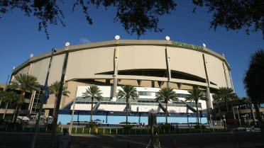 Official Information | Tampa Bay Rays
