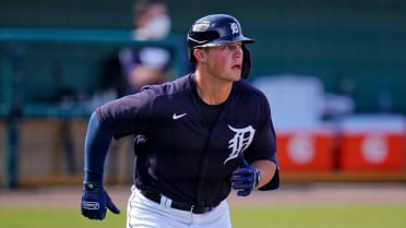 Tigers A-ball prospects review: Dillon Dingler and Spencer Torkelson press  for promotion - Bless You Boys