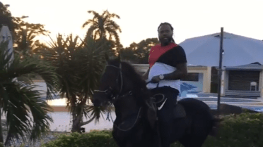 Giants' Johnny Cueto posts horse video on Instagram - Sports Illustrated