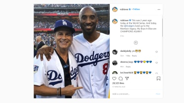 Dodgers' celebrity fans celebrate World Series