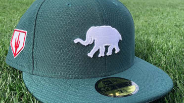 Elephant store baseball hat