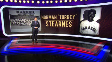 BHM - Norman Turkey Stearnes