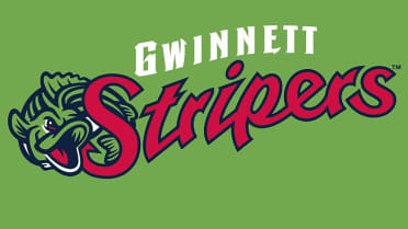 Pontoon officially partnering with the Gwinnett Stripers! : r/atlbeer