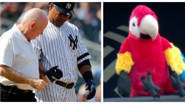 Edwin Encarnación Jr. crushes home run, does Parrot walk