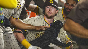 Padres add black panther statue good luck charm