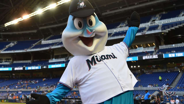 Miami Marlins on X: For Cuban Heritage Night, these fans received