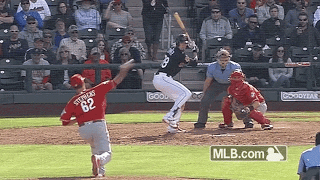 Zimmer Home Run