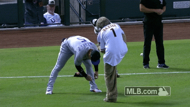 CarGo and Baxter have some fun