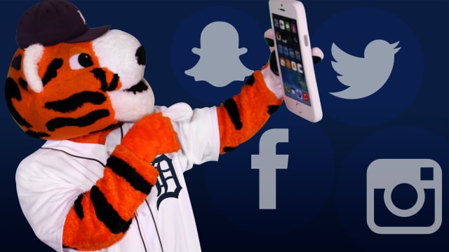 Paws (MLB Mascots) 11 [Damaged: 7/10]