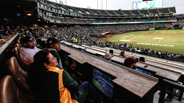 Gold Seating Areas