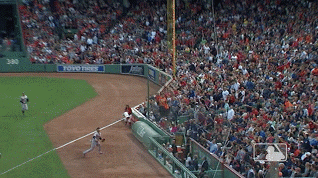 Yuli Gurriel is stuck in the netting