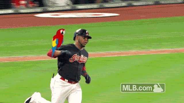 Edwin Encarnacion walks the Parrot for the first time in pinstripes. [NYY 6  TBR 3] : r/baseball
