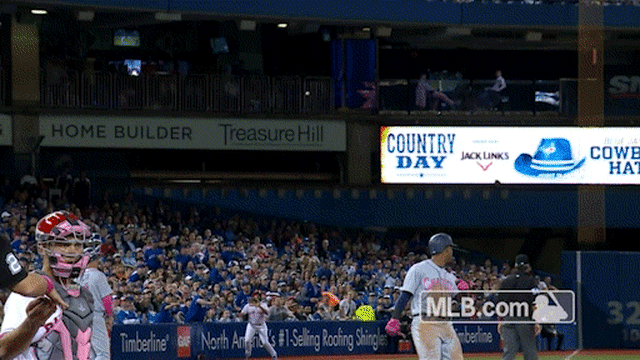 Blue Jays ballboy