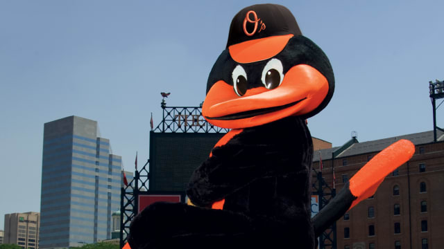 The Oriole Bird Baltimore Orioles Stranger Things Mascot on Bike