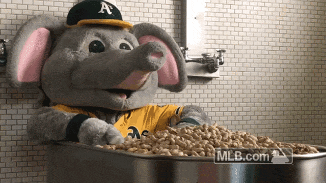 Stomper and his peanut bath
