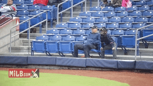 Young fan calls the game from the stands