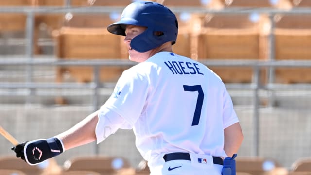 Hoese homers twice in Desert Dogs win
