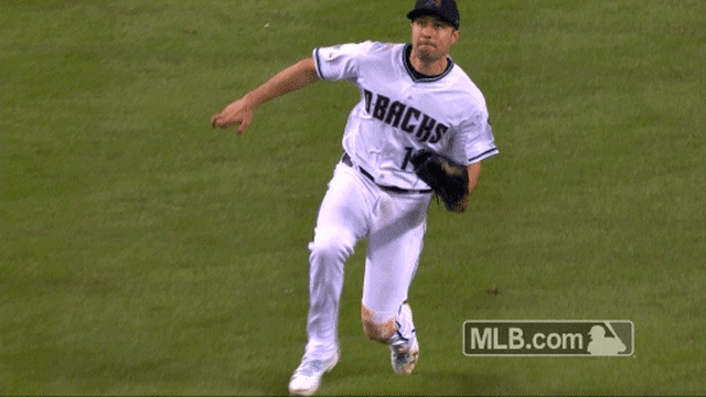 AJ Pollock catch