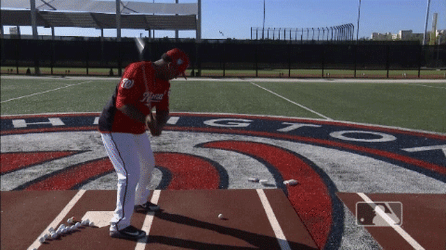 Nats Chipping