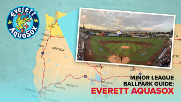 Explore Everett's Funko Field