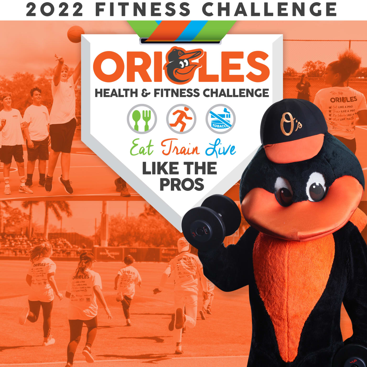 BALTIMORE ORIOLES SPRING TRAINING SARASOTA FL HEALTH FITNESS