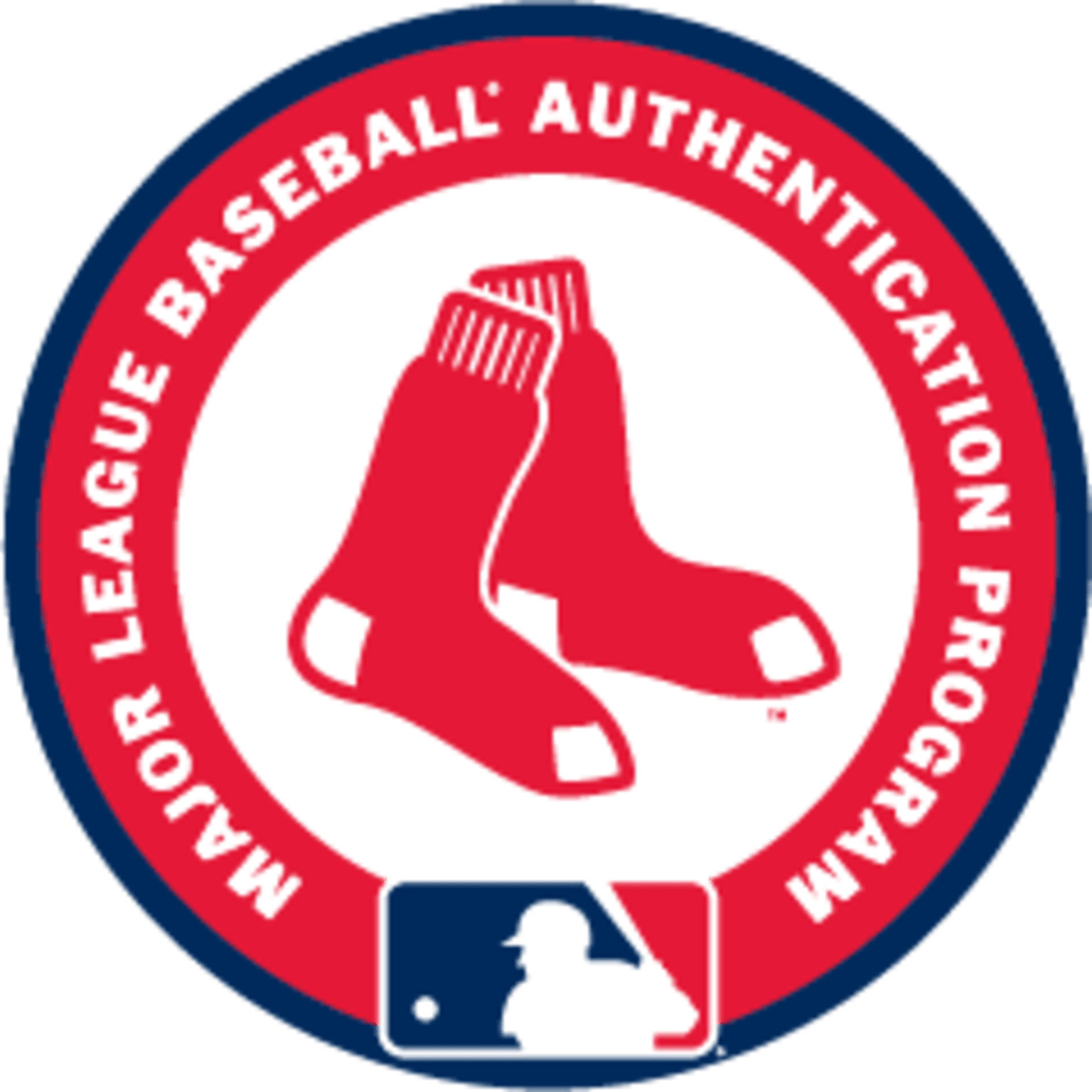 MLB Authenticated Game Used baseball w/ MLB Holo used Red Sox vs Rays