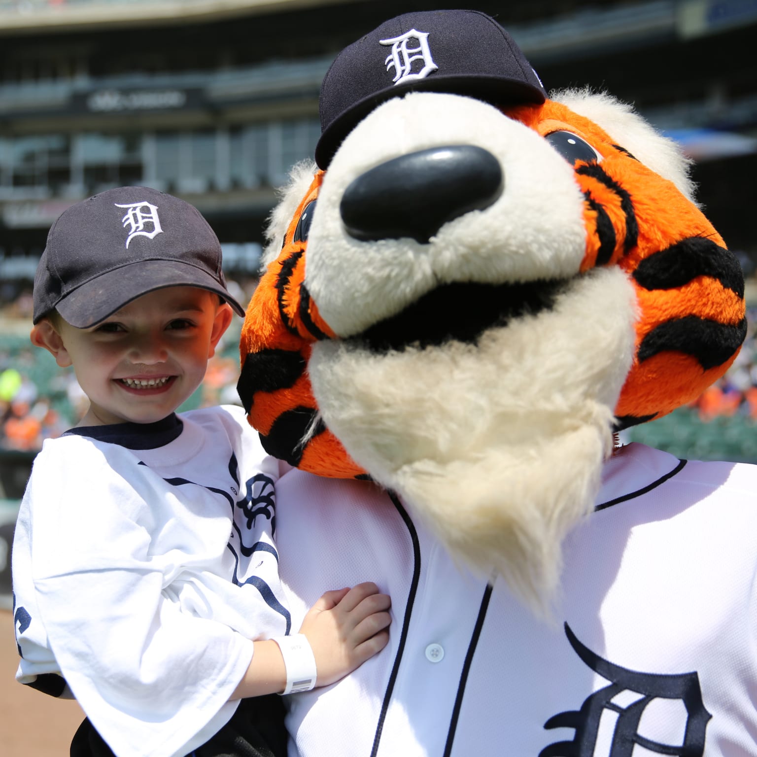 Paws, the Detroit Tigers mascot is seen before a baseball game