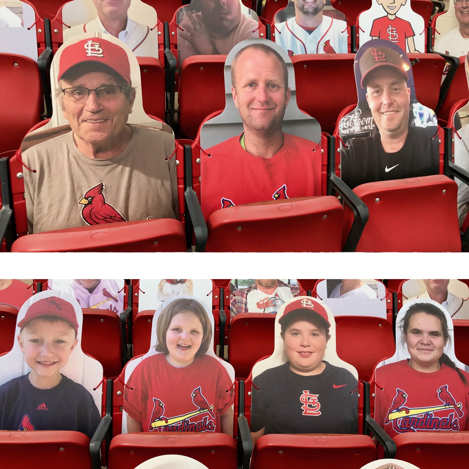 Grandma STL Cardinals Fan Cardinals Baseball St. Louis 