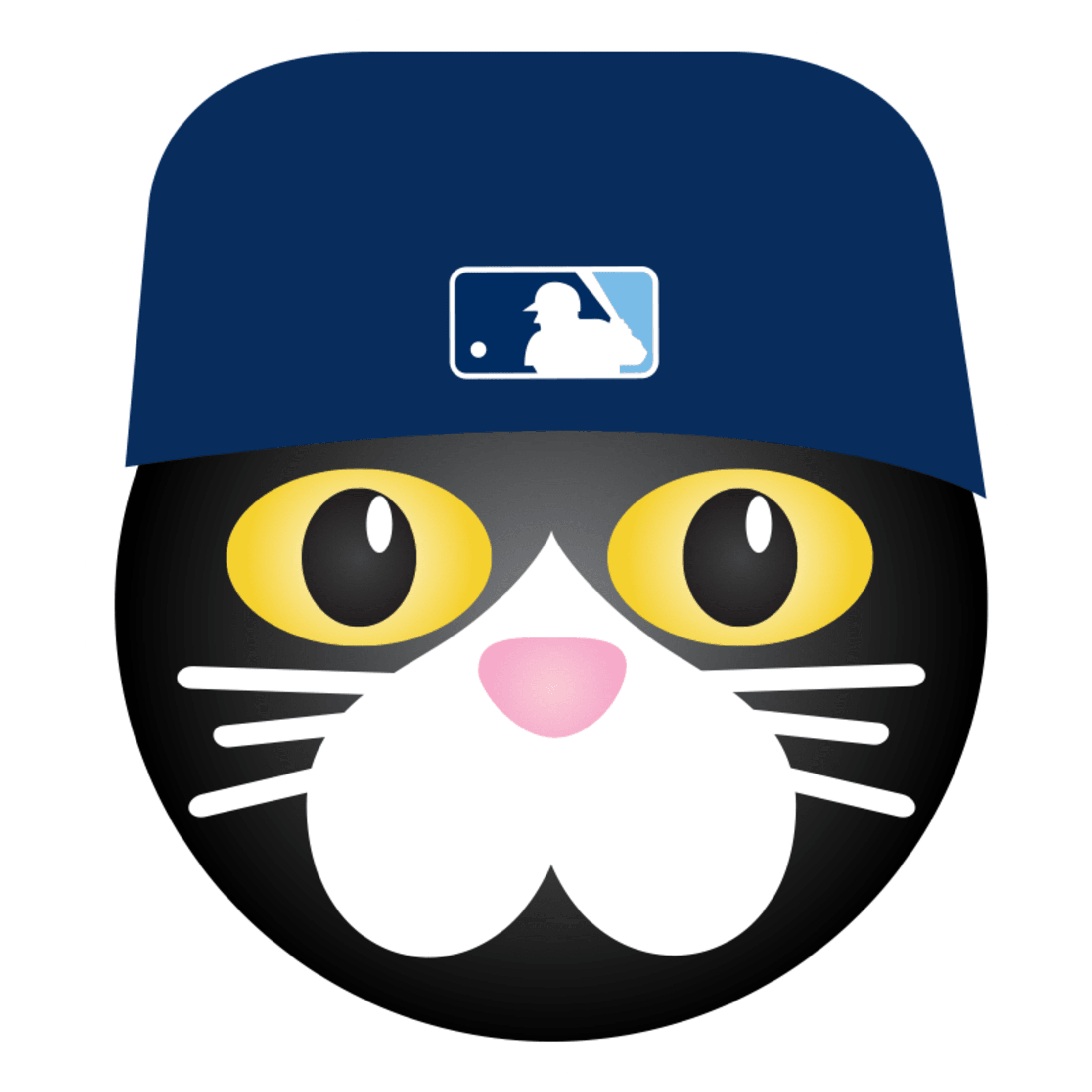 Cut4  Tampa bay rays baseball, Tampa bay rays, Dj kitty