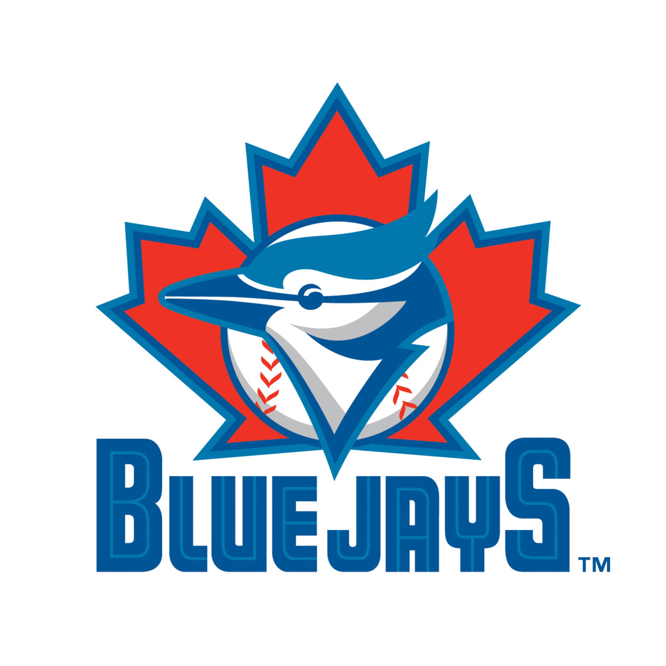 MLB Distressed 6 x 12 Heritage Logo Team Name Sign Toronto Blue Jays