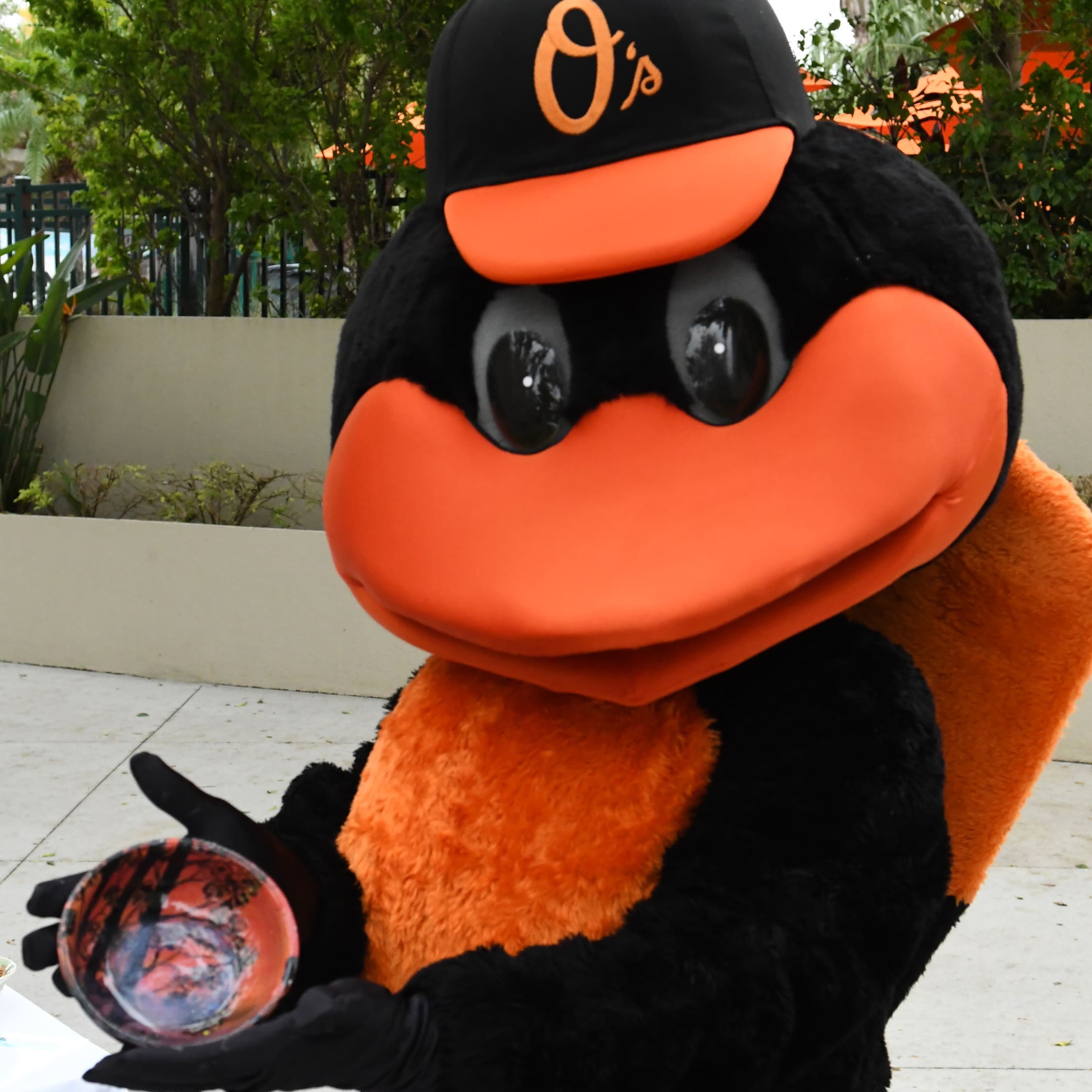 MLB Baltimore Orioles Mascot Plush Figure