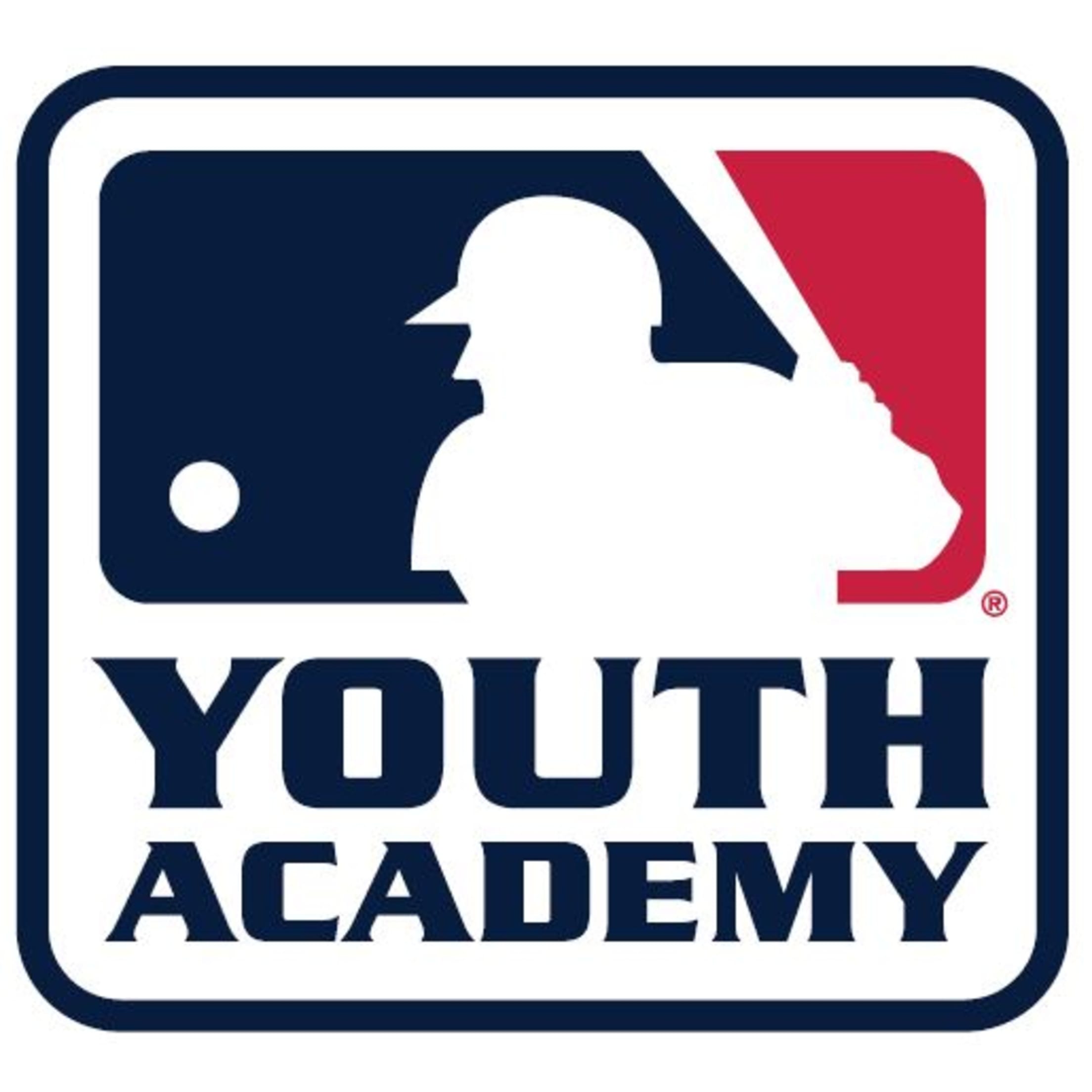 MLB Youth Baseball