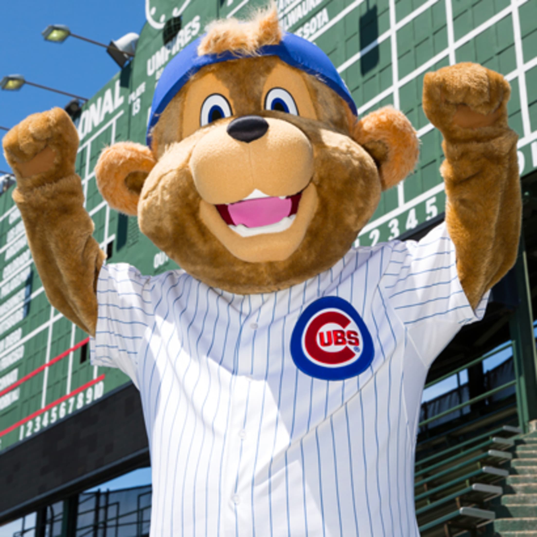 Top 10 Mascots In Major League Baseball - CBS Minnesota