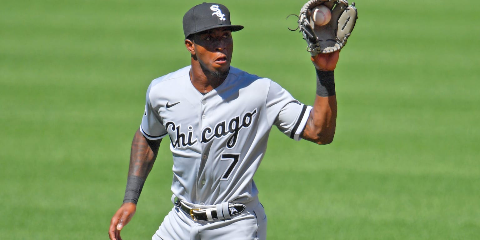 Leury Garcia's versatility is White Sox' gain - Chicago Sun-Times