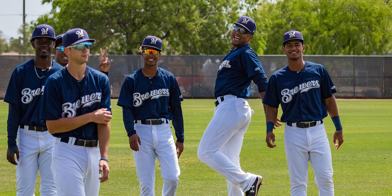 Brewers to field 2 Rookie Arizona League teams