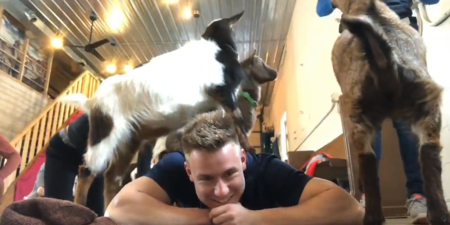 Jarred Kelenic shared another glimpse of his goat yoga training regimen ...