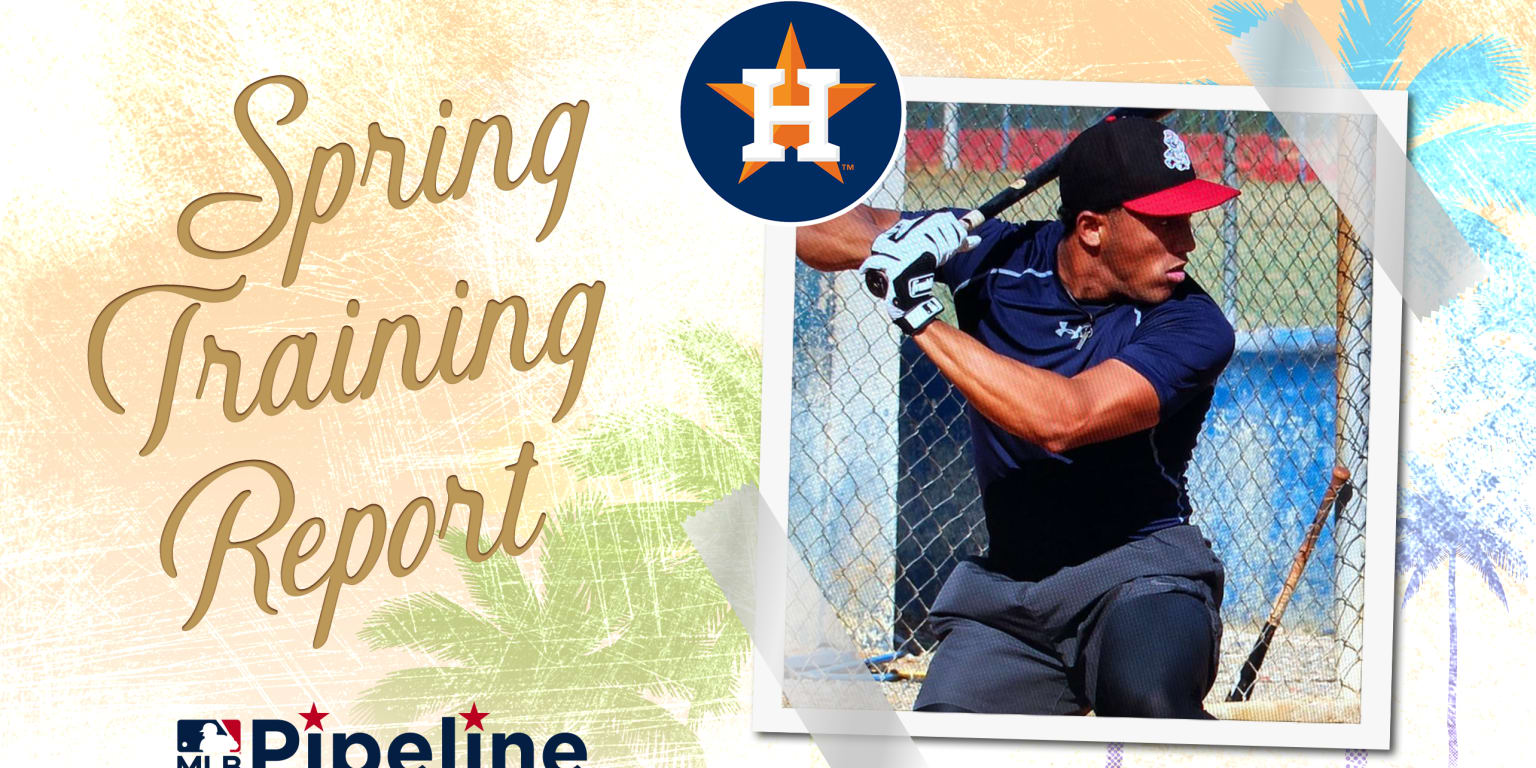 Astros Minor League Spring Training report