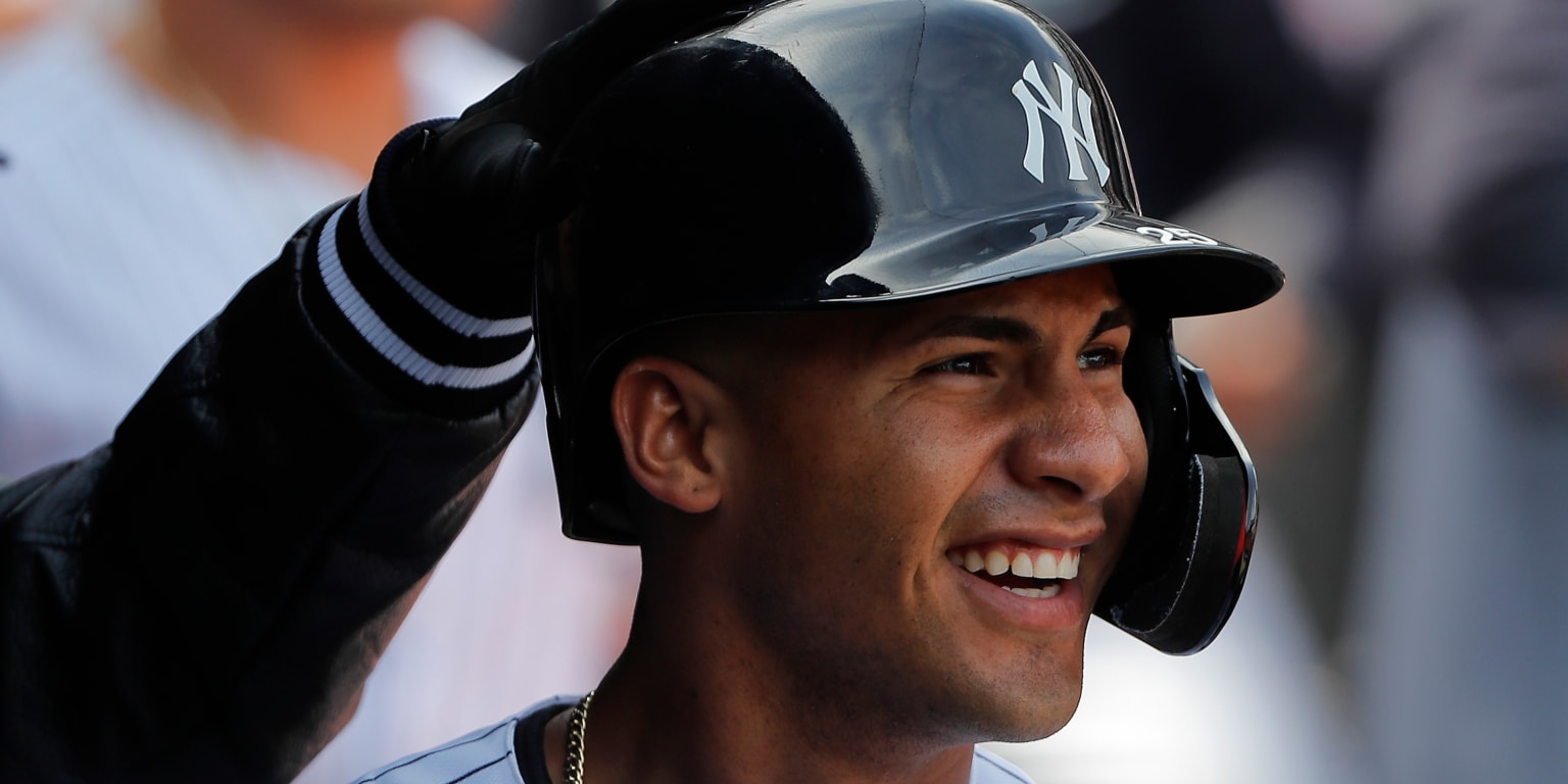 Yankees prospect Gleyber Torres 'can be the star' everyone's talking about  – New York Daily News