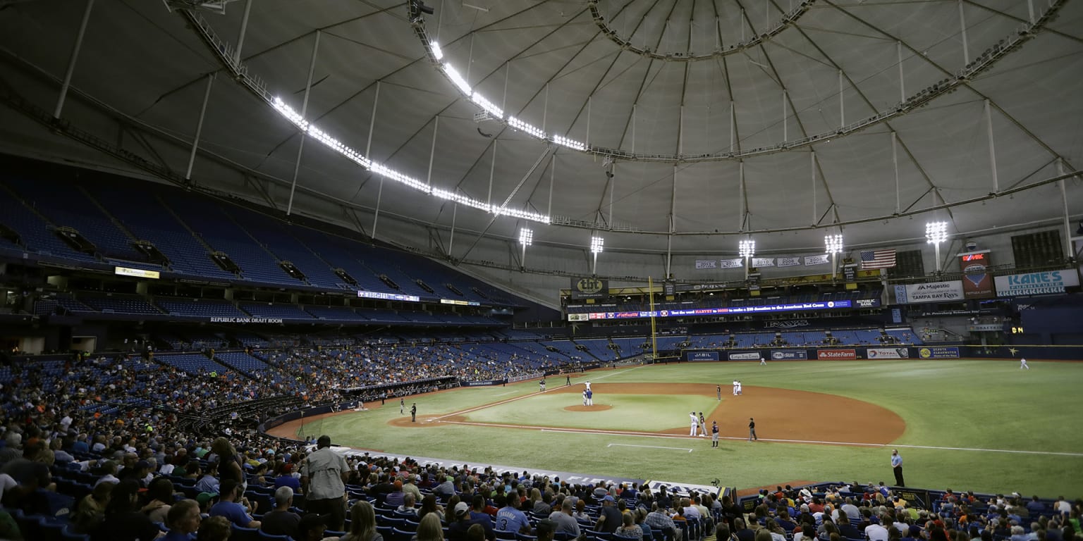At the Trop, the Porch offers a fresh perspective of the Rays