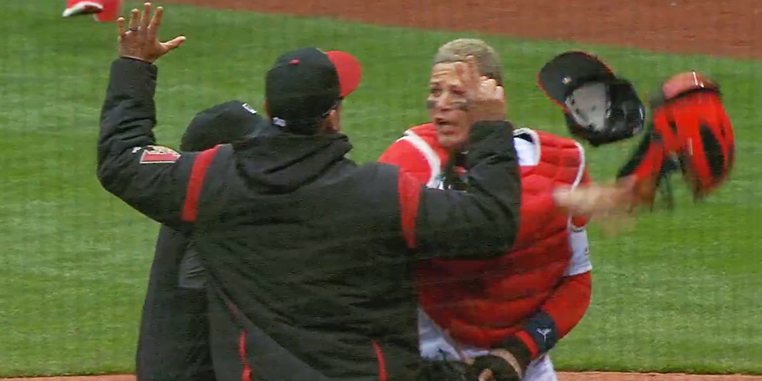 What did Torey Lovullo say to Yadier Molina to get him so mad